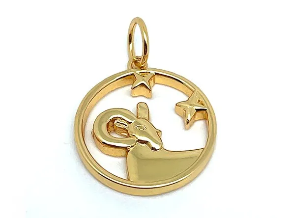 Elegant Zodiac Pendant