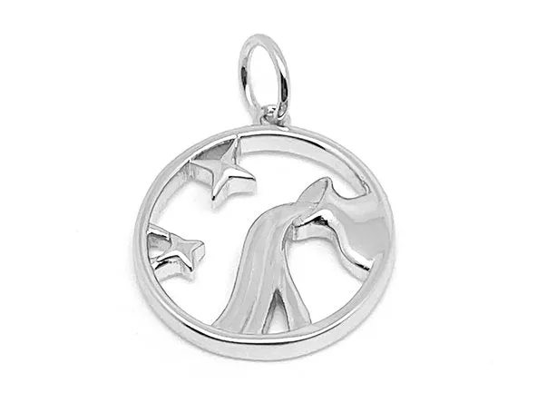 Elegant Zodiac Pendant