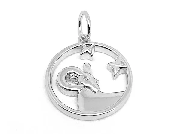 Elegant Zodiac Pendant