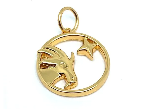 Elegant Zodiac Pendant
