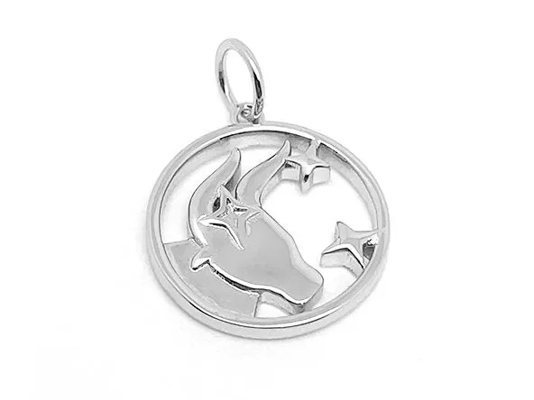 Elegant Zodiac Pendant