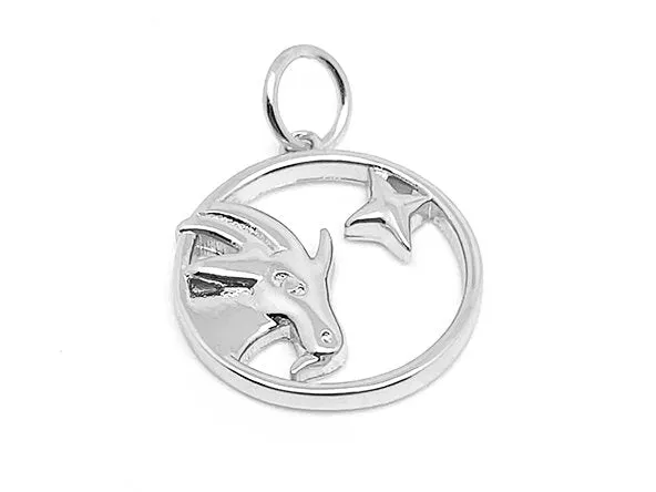 Elegant Zodiac Pendant